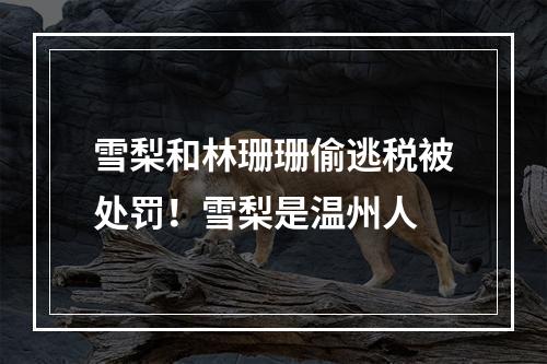 雪梨和林珊珊偷逃税被处罚！雪梨是温州人