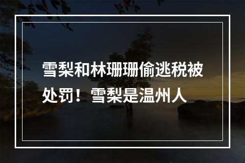 雪梨和林珊珊偷逃税被处罚！雪梨是温州人
