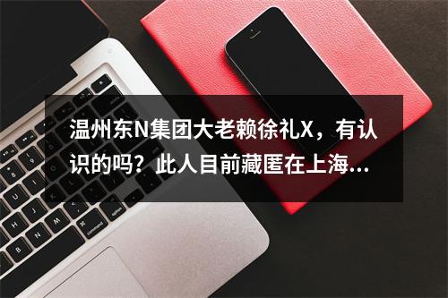 温州东N集团大老赖徐礼X，有认识的吗？此人目前藏匿在上海某豪华别墅小区！