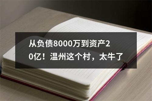 从负债8000万到资产20亿！温州这个村，太牛了