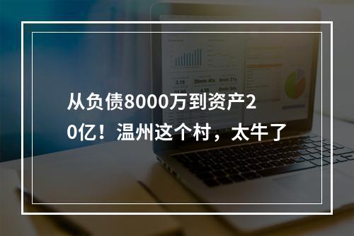 从负债8000万到资产20亿！温州这个村，太牛了