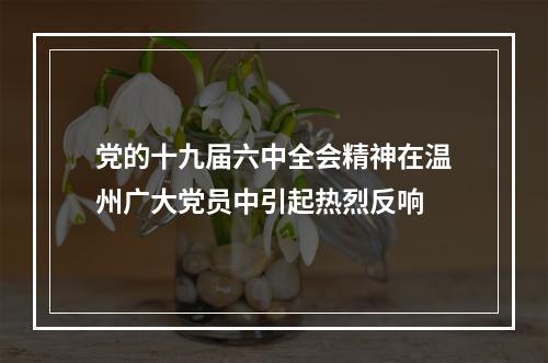 党的十九届六中全会精神在温州广大党员中引起热烈反响