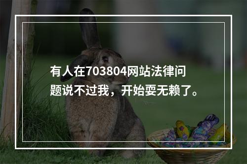 有人在703804网站法律问题说不过我，开始耍无赖了。