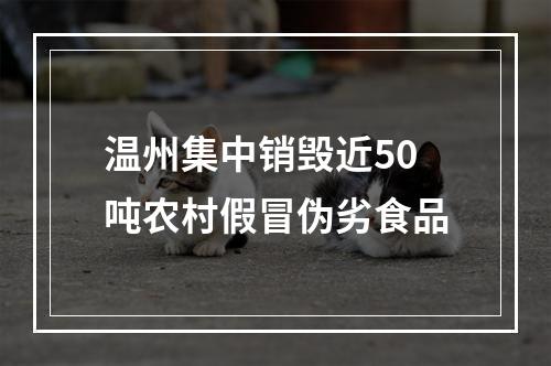 温州集中销毁近50吨农村假冒伪劣食品