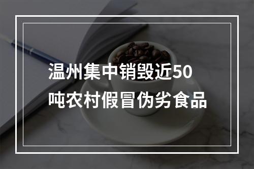 温州集中销毁近50吨农村假冒伪劣食品