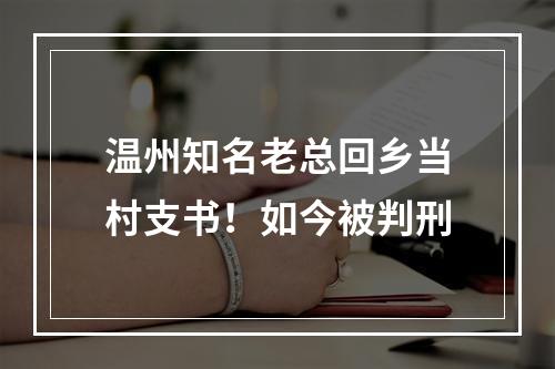 温州知名老总回乡当村支书！如今被判刑