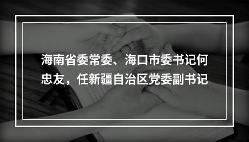 海南省委常委、海口市委书记何忠友，任新疆自治区党委副书记