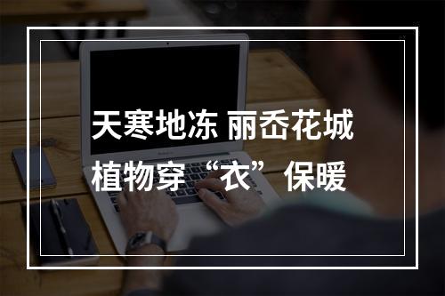 天寒地冻 丽岙花城植物穿“衣”保暖