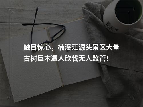 触目惊心，楠溪江源头景区大量古树巨木遭人砍伐无人监管！