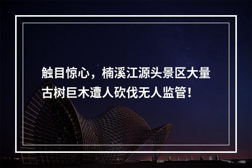 触目惊心，楠溪江源头景区大量古树巨木遭人砍伐无人监管！