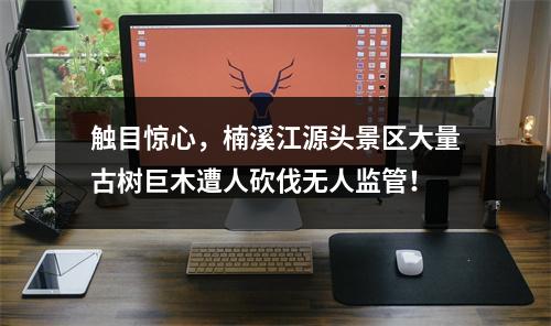 触目惊心，楠溪江源头景区大量古树巨木遭人砍伐无人监管！