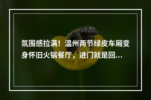 氛围感拉满！温州两节绿皮车厢变身怀旧火锅餐厅，进门就是回忆杀