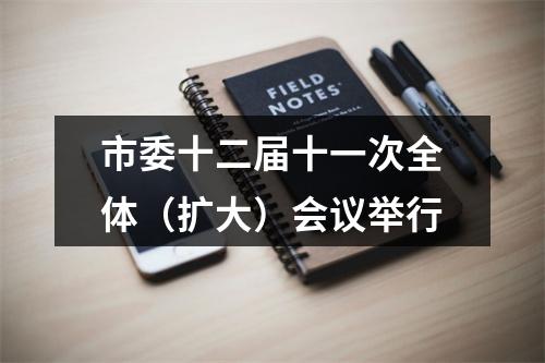 市委十二届十一次全体（扩大）会议举行