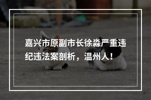 嘉兴市原副市长徐淼严重违纪违法案剖析，温州人！
