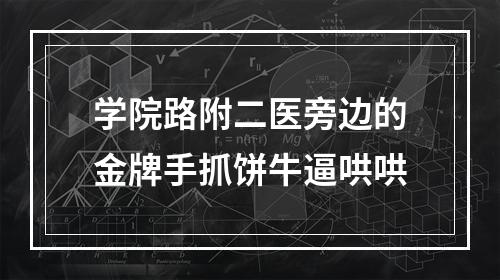 学院路附二医旁边的金牌手抓饼牛逼哄哄