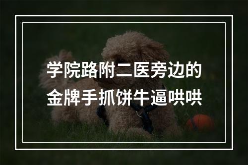 学院路附二医旁边的金牌手抓饼牛逼哄哄