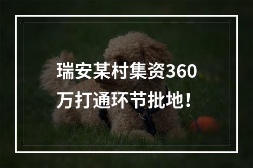 瑞安某村集资360万打通环节批地！