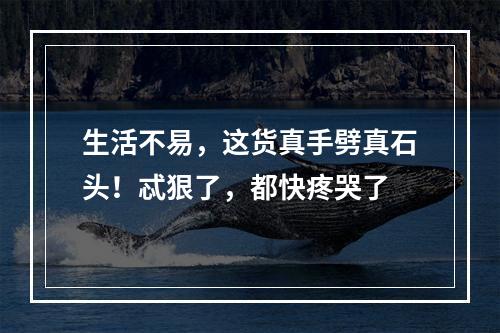 生活不易，这货真手劈真石头！忒狠了，都快疼哭了