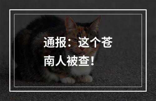 通报：这个苍南人被查！