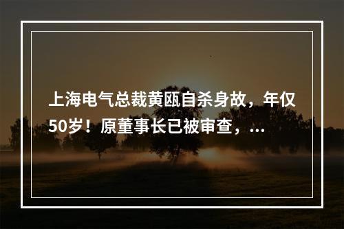 上海电气总裁黄瓯自杀身故，年仅50岁！原董事长已被审查，80多亿财务黑洞！ ...