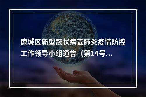 鹿城区新型冠状病毒肺炎疫情防控工作领导小组通告（第14号）