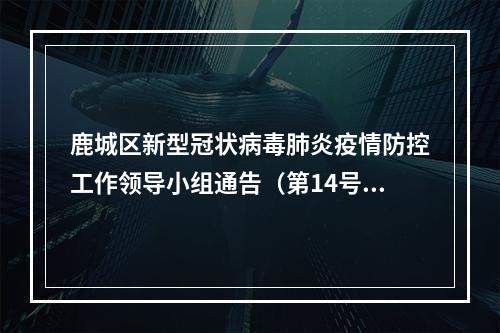鹿城区新型冠状病毒肺炎疫情防控工作领导小组通告（第14号）