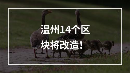 温州14个区块将改造！