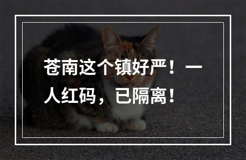 苍南这个镇好严！一人红码，已隔离！