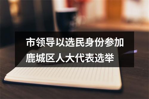 市领导以选民身份参加鹿城区人大代表选举