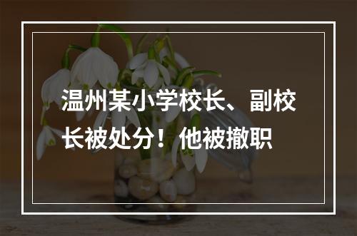 温州某小学校长、副校长被处分！他被撤职