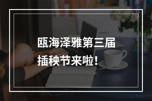 瓯海泽雅第三届插秧节来啦！