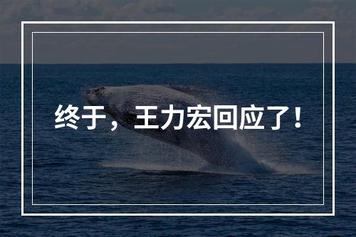 终于，王力宏回应了！