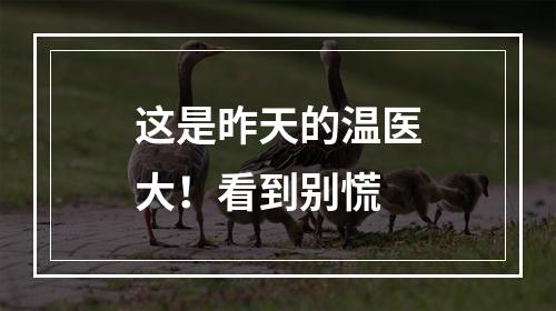 这是昨天的温医大！看到别慌