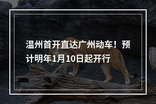 温州首开直达广州动车！预计明年1月10日起开行