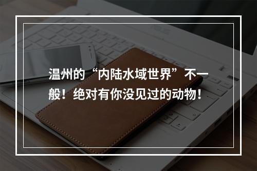 温州的“内陆水域世界”不一般！绝对有你没见过的动物！