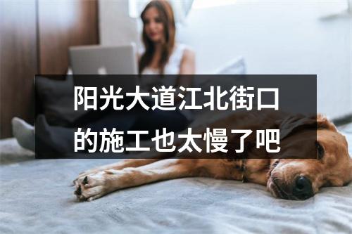 阳光大道江北街口的施工也太慢了吧