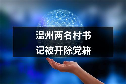 温州两名村书记被开除党籍