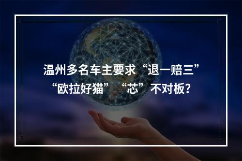 温州多名车主要求“退一赔三” “欧拉好猫”“芯”不对板？