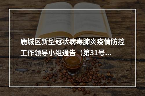 鹿城区新型冠状病毒肺炎疫情防控工作领导小组通告（第31号)