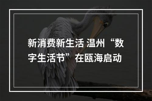 新消费新生活 温州“数字生活节”在瓯海启动