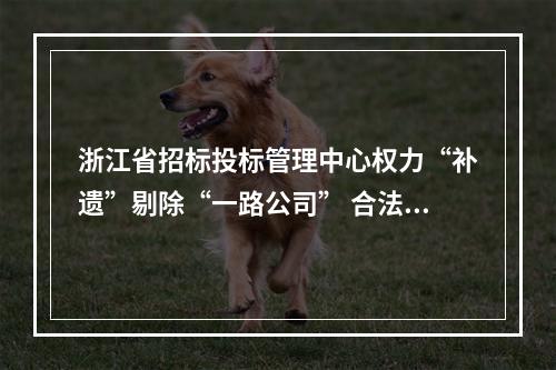 浙江省招标投标管理中心权力“补遗”剔除“一路公司” 合法投标资格(转)