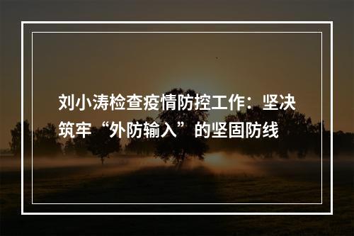 刘小涛检查疫情防控工作：坚决筑牢“外防输入”的坚固防线