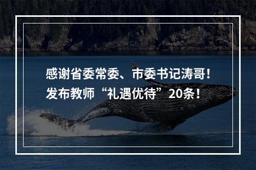 感谢省委常委、市委书记涛哥！发布教师“礼遇优待”20条！