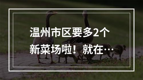 温州市区要多2个新菜场啦！就在…