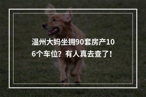 温州大妈坐拥90套房产106个车位？有人真去查了！