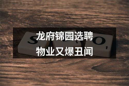 龙府锦园选聘物业又爆丑闻