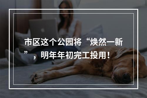 市区这个公园将“焕然一新”，明年年初完工投用！