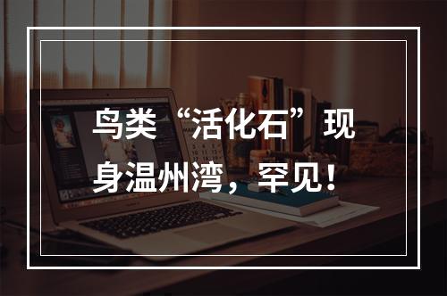 鸟类“活化石”现身温州湾，罕见！