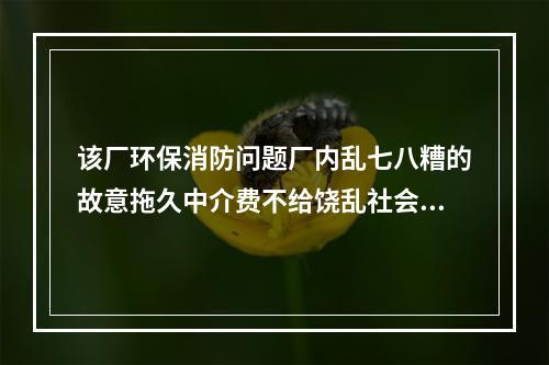 该厂环保消防问题厂内乱七八糟的故意拖久中介费不给饶乱社会秩序