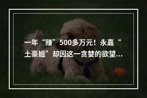 一年“赚”500多万元！永嘉“土豪姐”却因这一贪婪的欲望，被抓